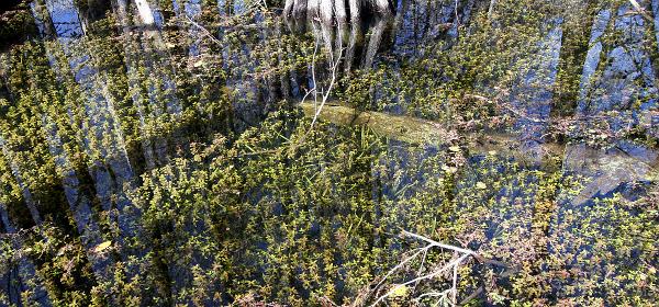 Tamiami Trl, Trailtown, Florida, United States
