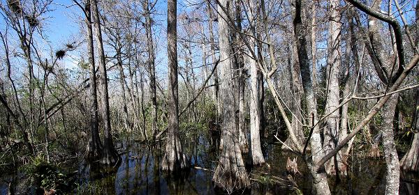 Tamiami Trl, Trailtown, Florida, United States
