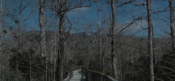 kirby storter roadside park