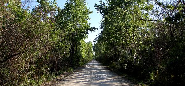 W J Janes Memorial Scenic Dr, Jerome, Florida, United States