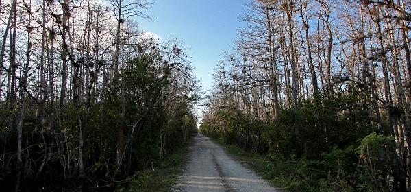 Loop Rd, Trail City, Florida, United States