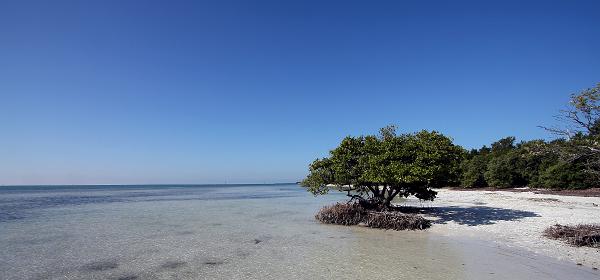 Overseas Hwy, Lower Matecumbe Beach, Florida, United States