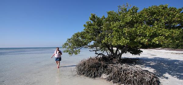 Overseas Hwy, Lower Matecumbe Beach, Florida, United States
