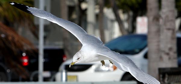 Atlantic Blvd, Key West, Florida, United States