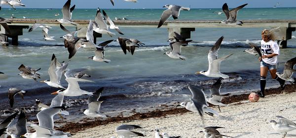 Atlantic Blvd, Key West, Florida, United States