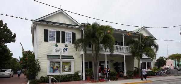 Duval St, Key West, Florida, United States
