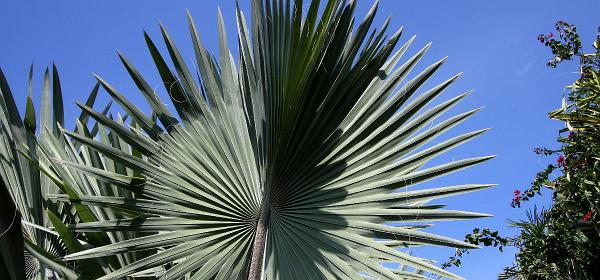 Atlantic Blvd, Key West, Florida, United States