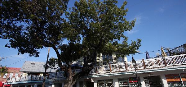 Front St, Key West, Florida, United States