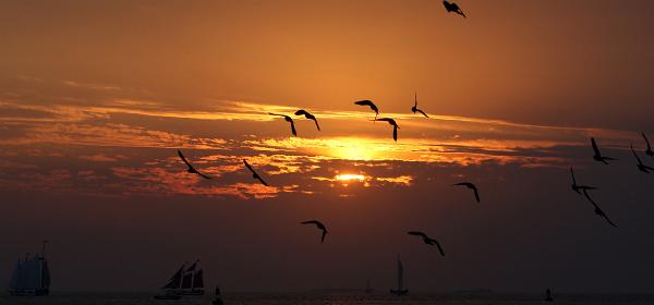Wall St, Key West, Florida, United States