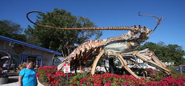 Overseas Hwy, Plantation, Florida, United States