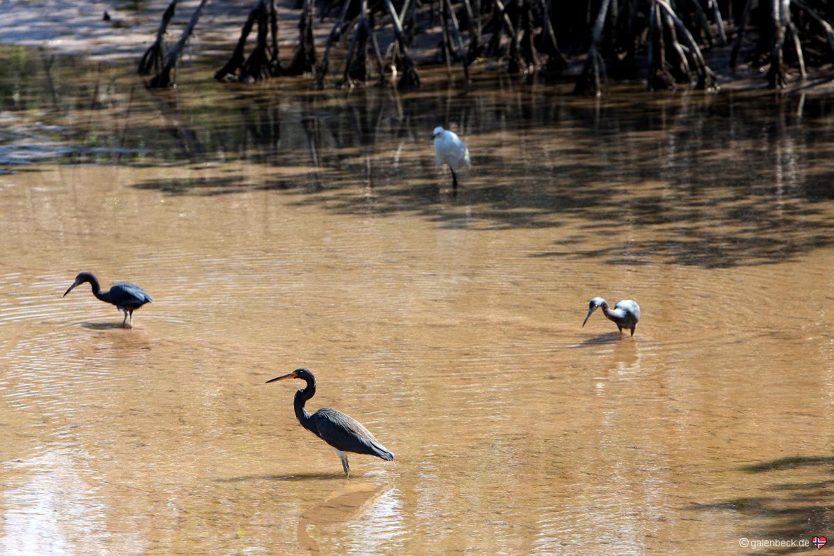 Long Key State Park