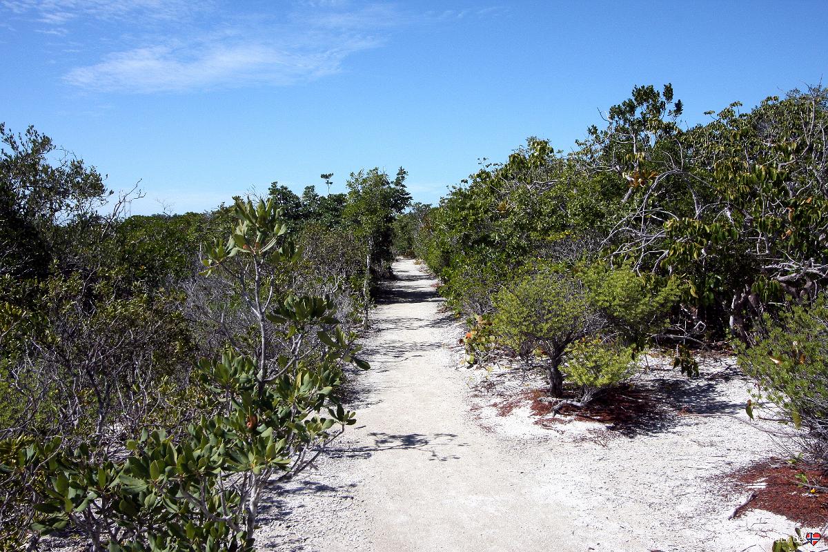 Long Key State Park