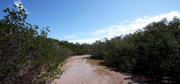 Layton, Florida, United States