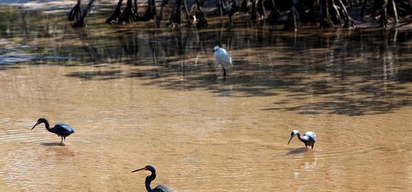 Layton, Florida, United States