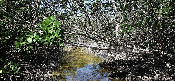 Layton, Florida, United States