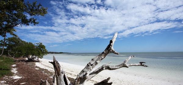 Overseas Hwy, Layton, Florida, United States