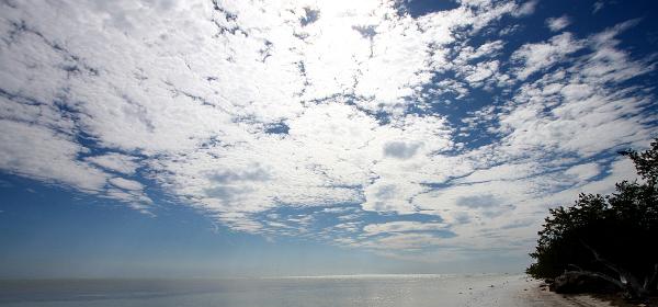 Overseas Hwy, Layton, Florida, United States