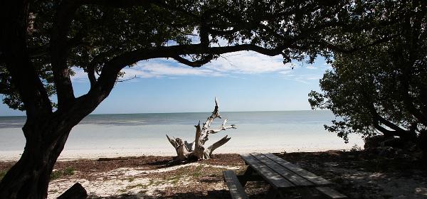 Overseas Hwy, Layton, Florida, United States