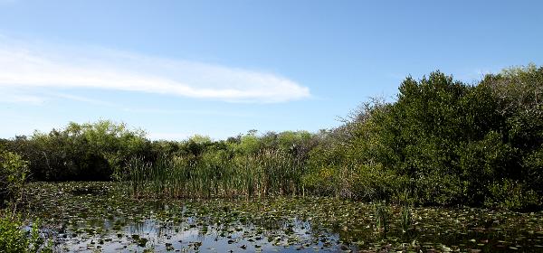 Shark Valley Loop Rd, Pops Hammock Seminole Village, Florida, United States
