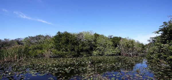 Shark Valley Loop Rd, Pops Hammock Seminole Village, Florida, United States