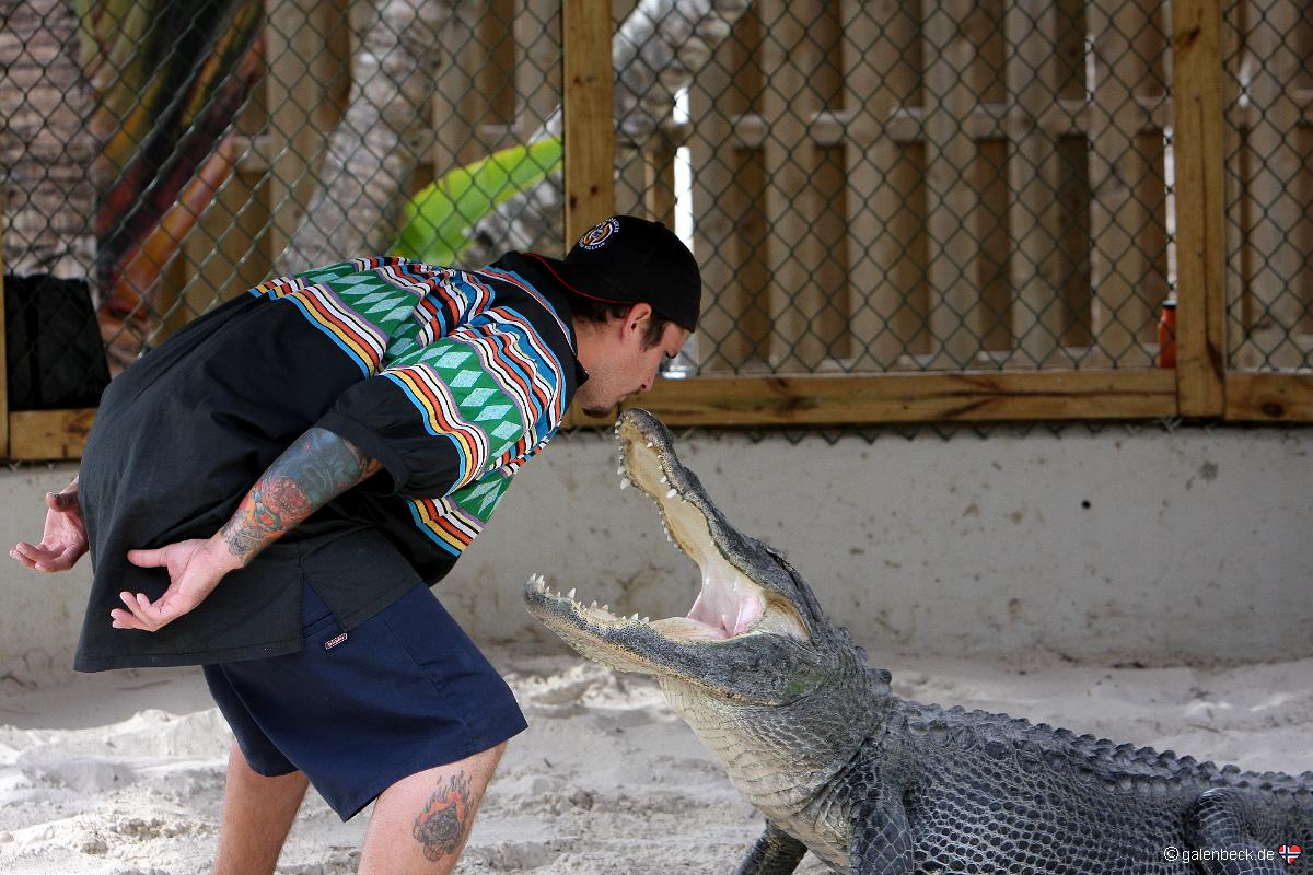 Miccosukee Indian Village