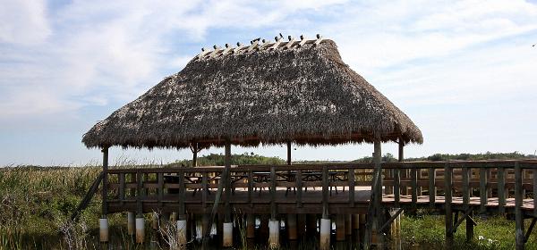 Old Tamiami Trl, Fortymile Bend, Florida, United States