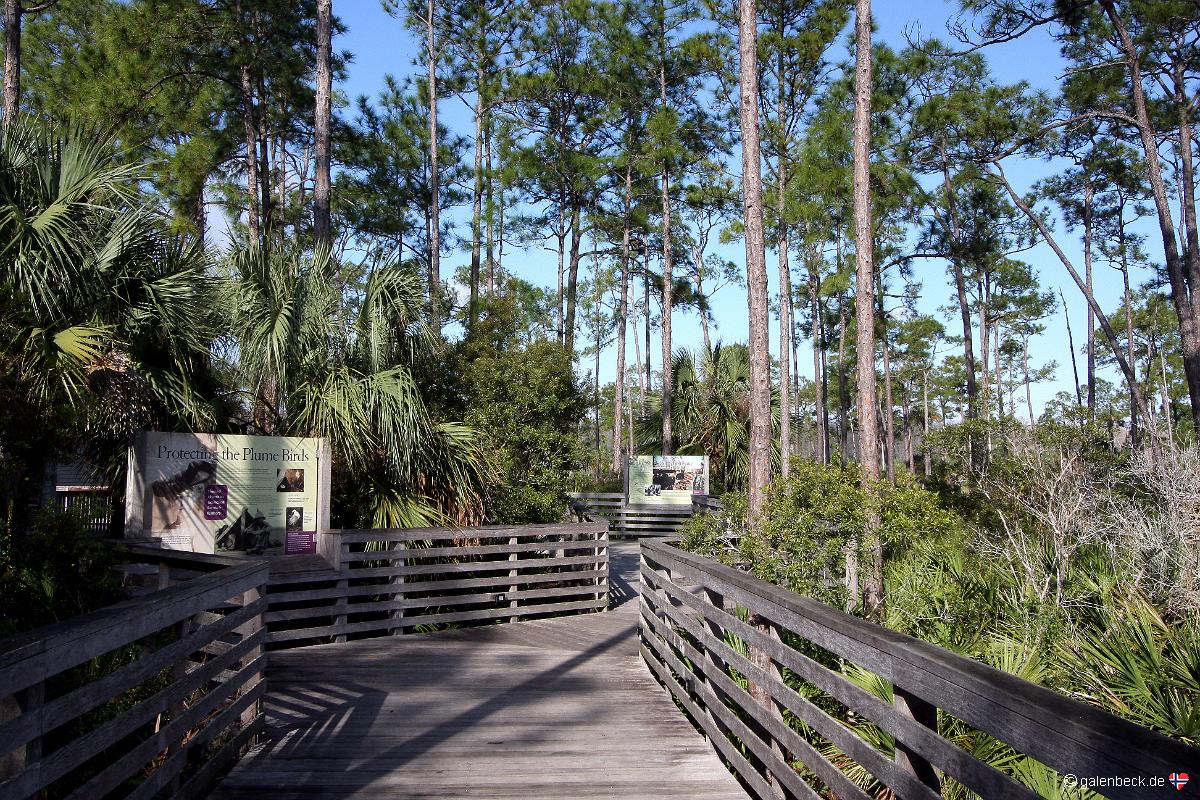 Corkscrew Swamp Sanctuary
