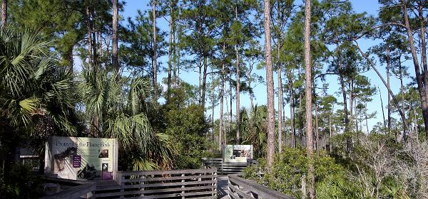 Rookery Ln, Bonita Springs, Florida, United States