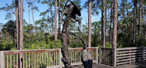 Rookery Ln, Bonita Springs, Florida, United States