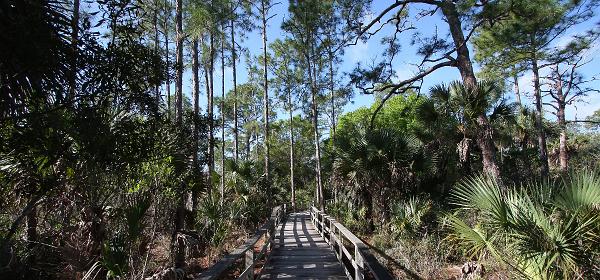 Rookery Ln, Bonita Springs, Florida, United States