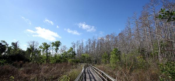 Bonita Springs, Florida, United States