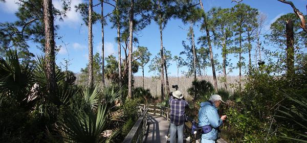 Rookery Ln, Bonita Springs, Florida, United States