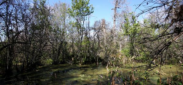 Bonita Springs, Florida, United States