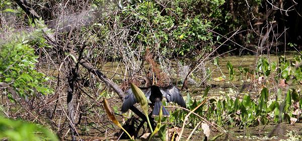 Bonita Springs, Florida, United States