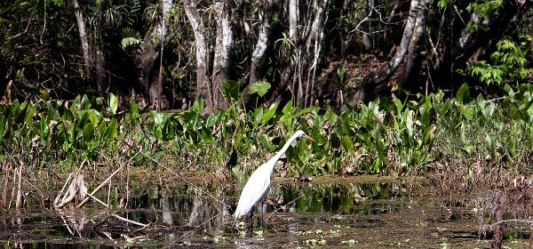 Bonita Springs, Florida, United States