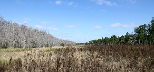 Bonita Springs, Florida, United States