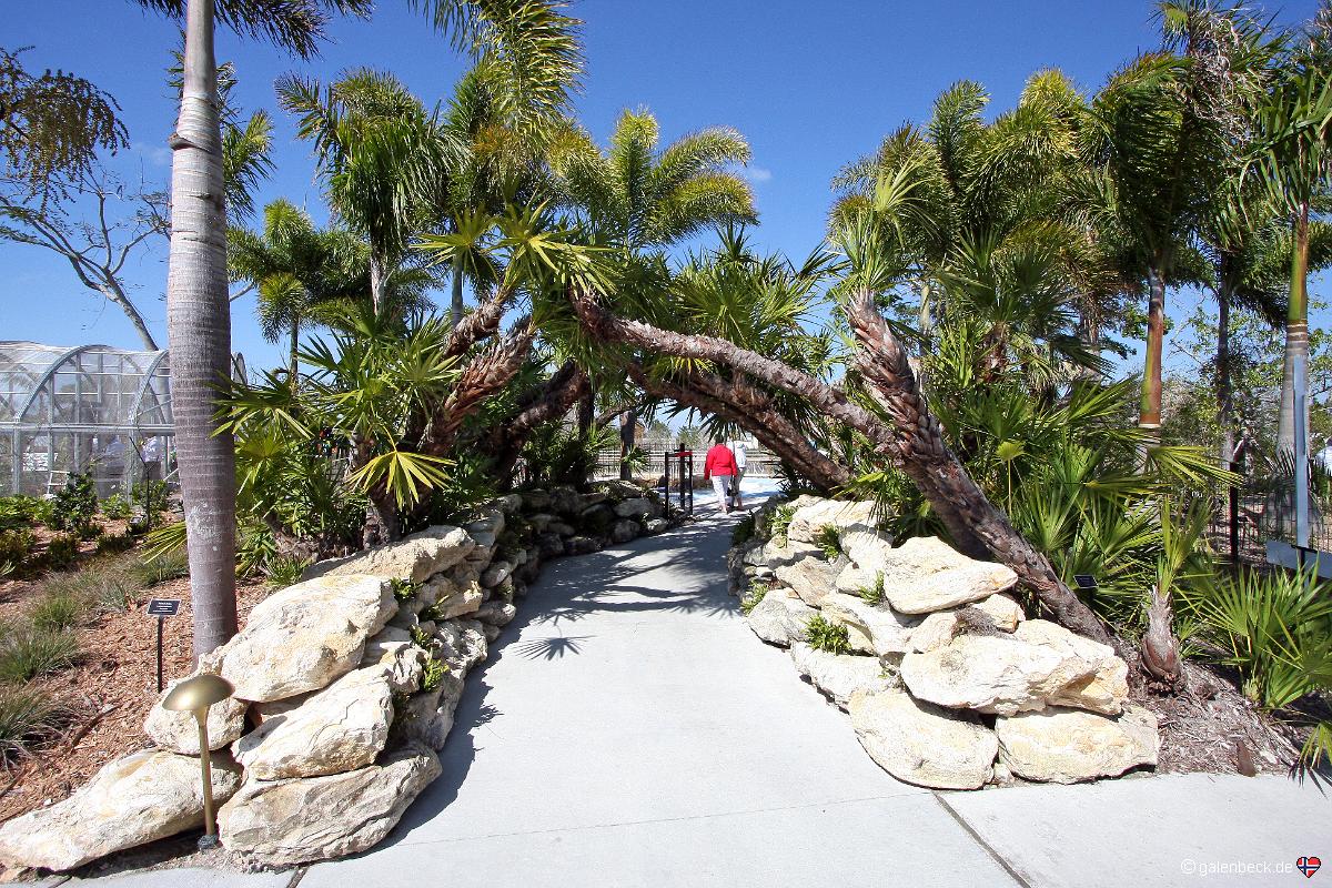 Naples Botanical Garden