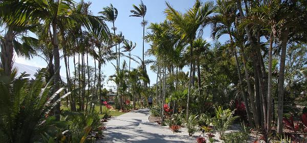 Bayshore Dr, Naples, Florida, United States