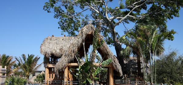 Palmetto Ct, Naples, Florida, United States