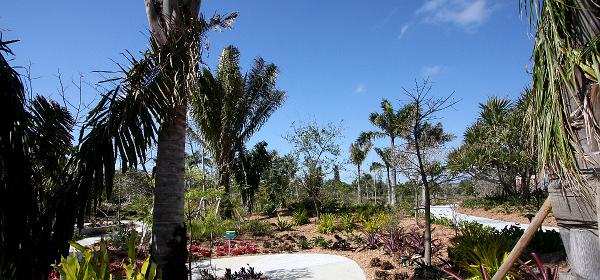 Palmetto Ct, Naples, Florida, United States
