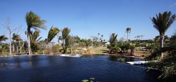 Palmetto Ct, Naples, Florida, United States