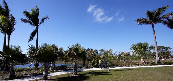 Palmetto Ct, Naples, Florida, United States