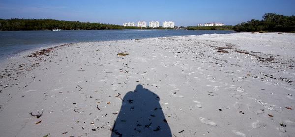 Bluebill Ave, Gulf Harbor, Florida, United States