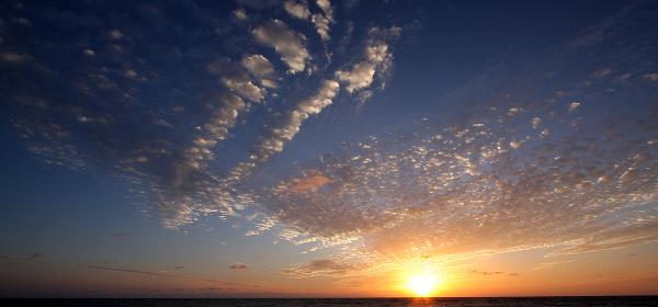 Park Dr, Vanderbilt Beach Estates, Florida, United States