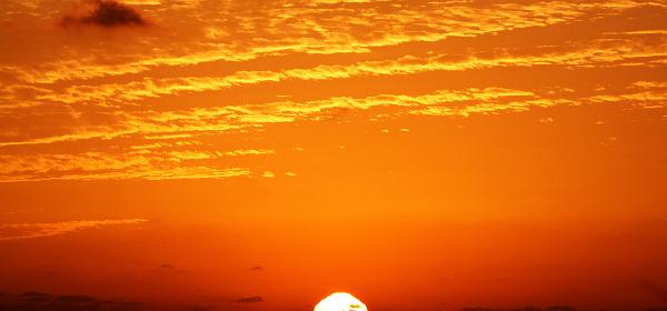 Park Dr, Vanderbilt Beach Estates, Florida, United States