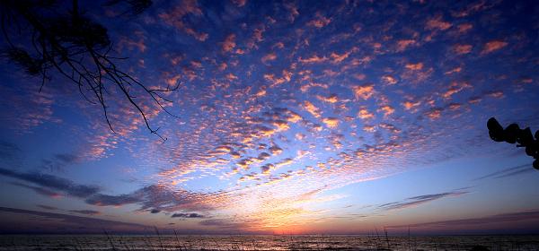 Park Dr, Vanderbilt Beach Estates, Florida, United States