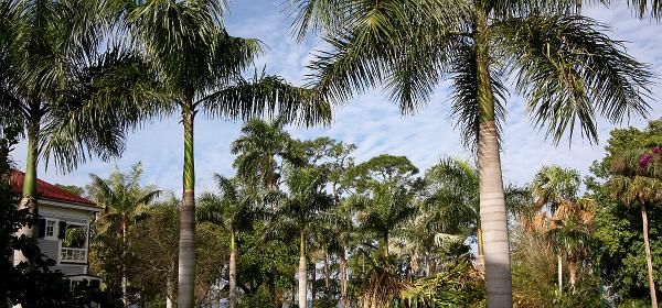 McGregor Blvd, Fort Myers, Florida, United States