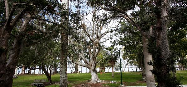 McGregor Blvd, Fort Myers, Florida, United States