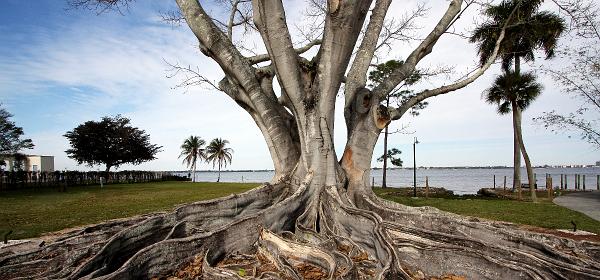 McGregor Blvd, Fort Myers, Florida, United States