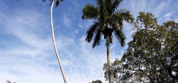McGregor Blvd, Fort Myers, Florida, United States